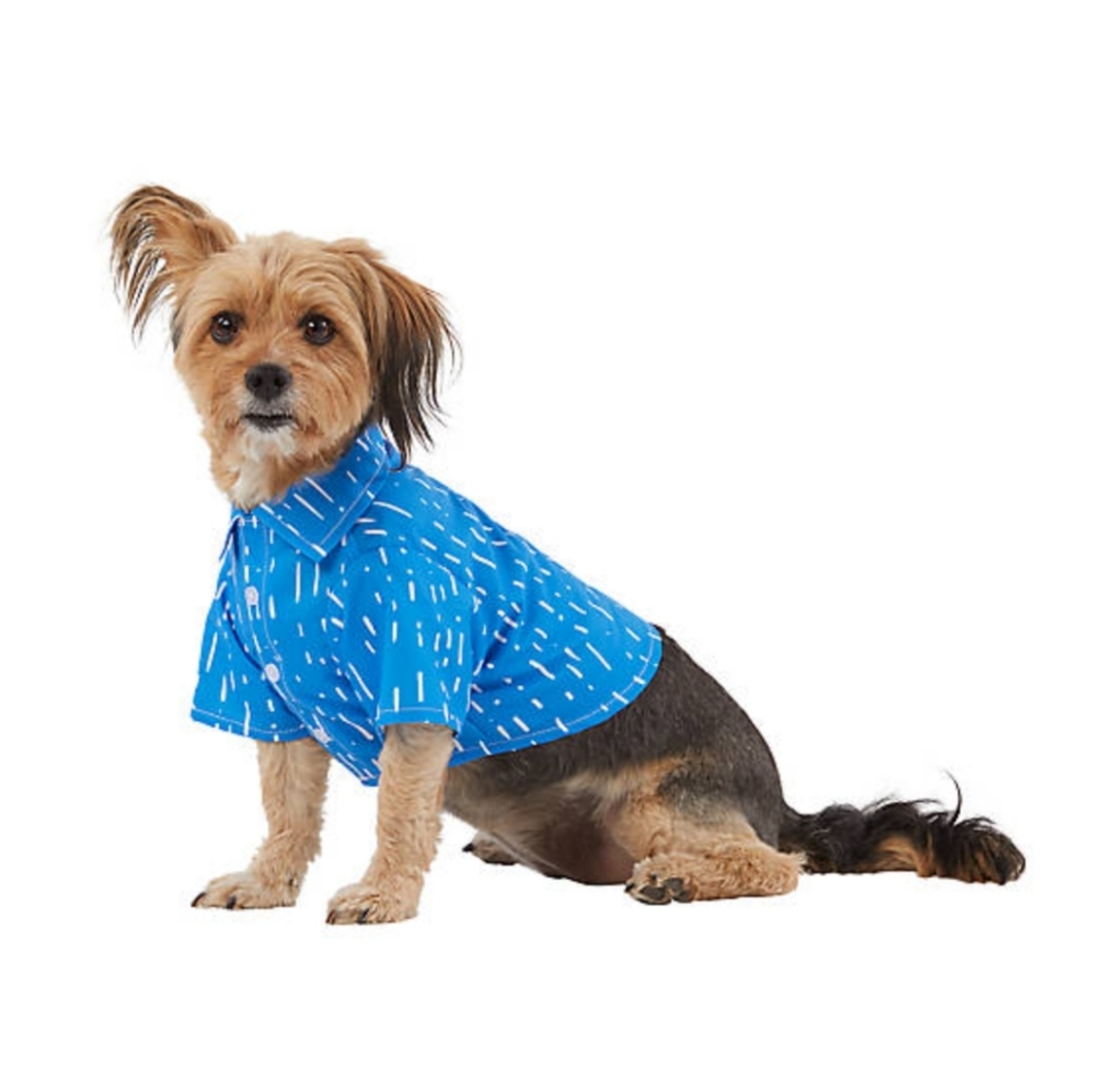 🐾NEW Top Paw Button Up Shirt XS